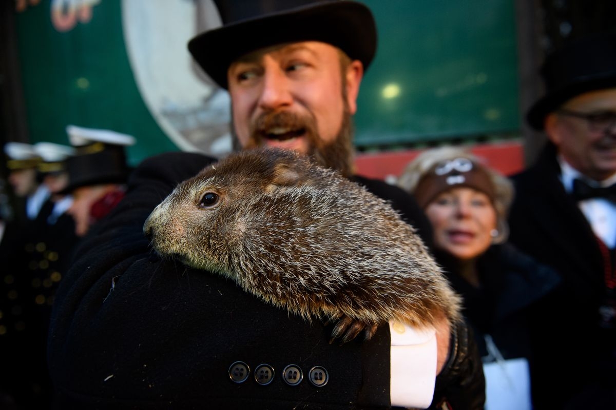 Groundhog Day 2019 Punxsutawney Phil Did Not See His Shadow Vox