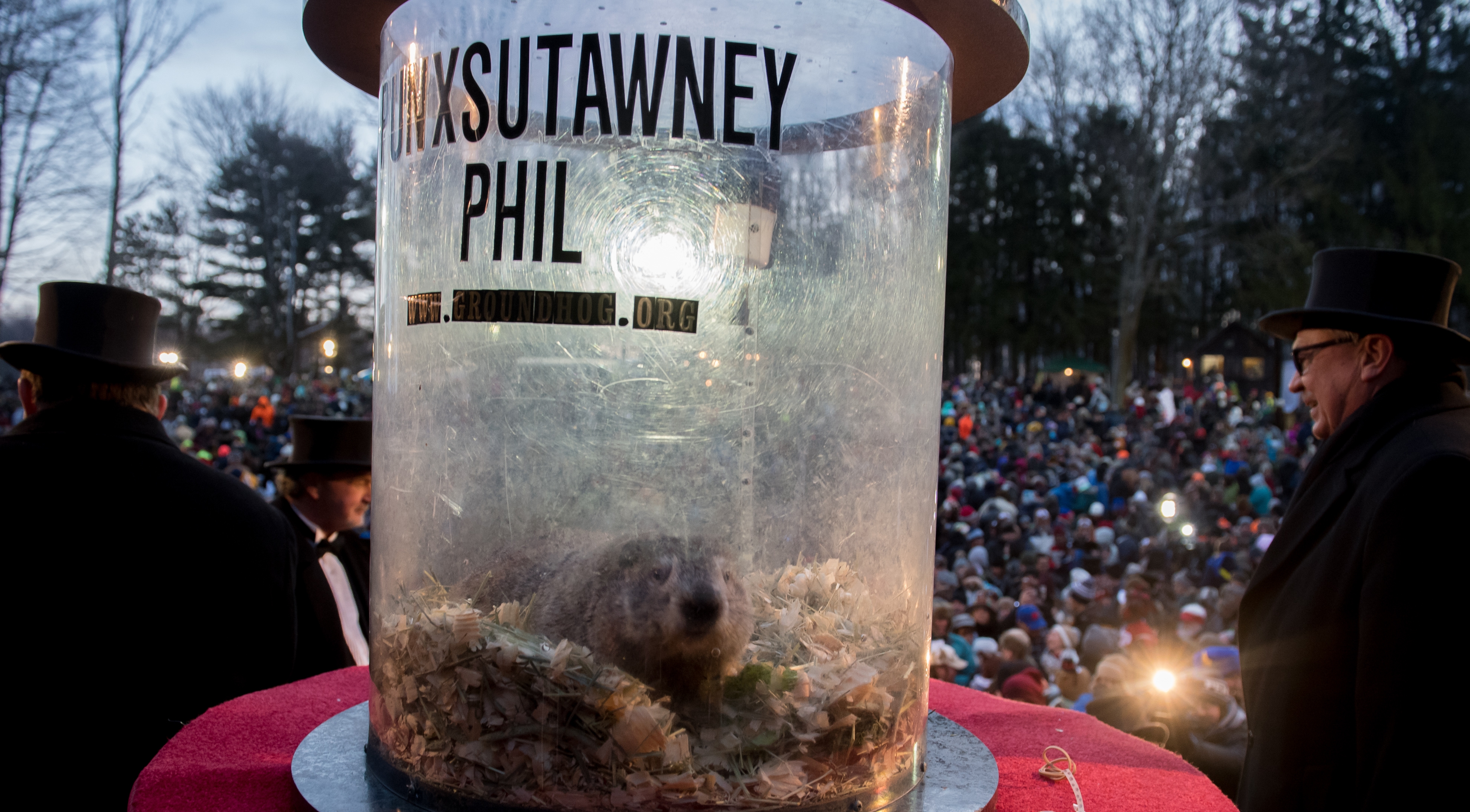 When Is Groundhog Day 2021 Groundhog Day 2022 | Qualads