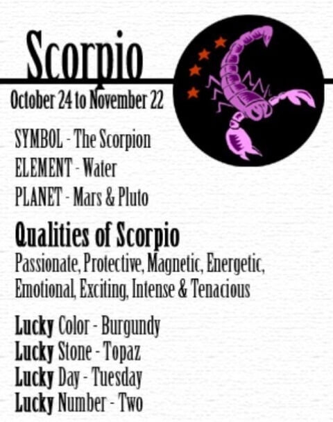 November Birth Sign Scorpio November Zodiac Sign Birthstone