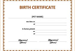 Birth Certificate Template Microsoft Word