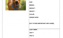 Find Missing Dog Poster Template Find Missing Dog Poster Template