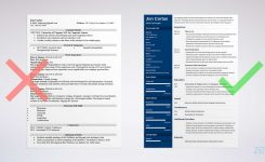 Free Resume Templates For Word 15 Cvresume Formats To Download