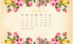 Monthly 2020 Desktop Calendar Wallpapers