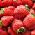 Pick Strawberries Day 2019