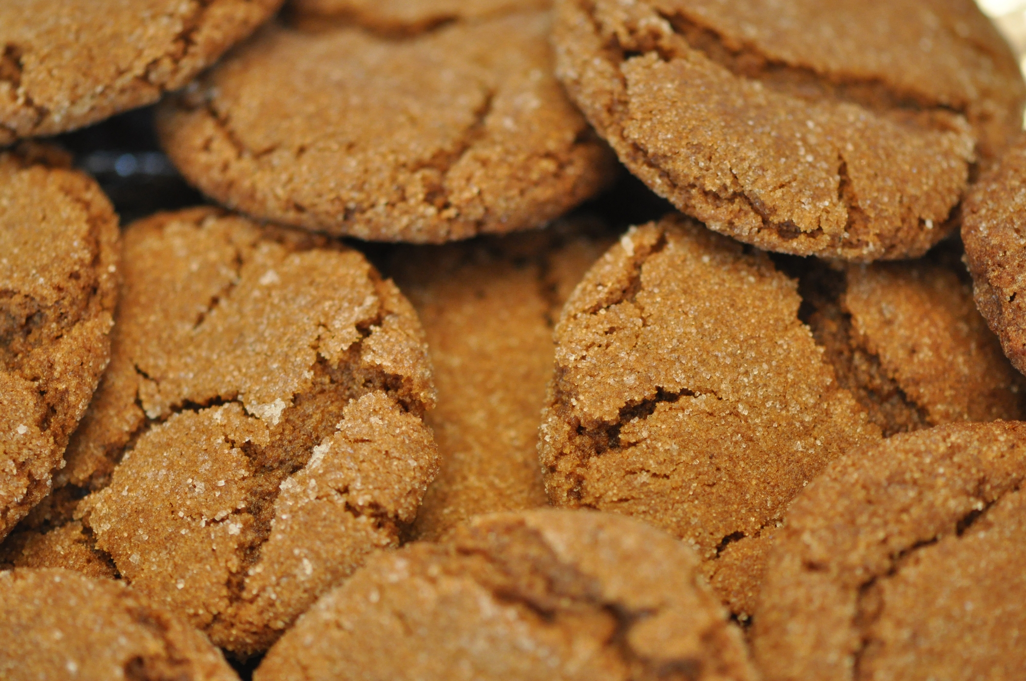 Gingersnap Day Days Of The Year
