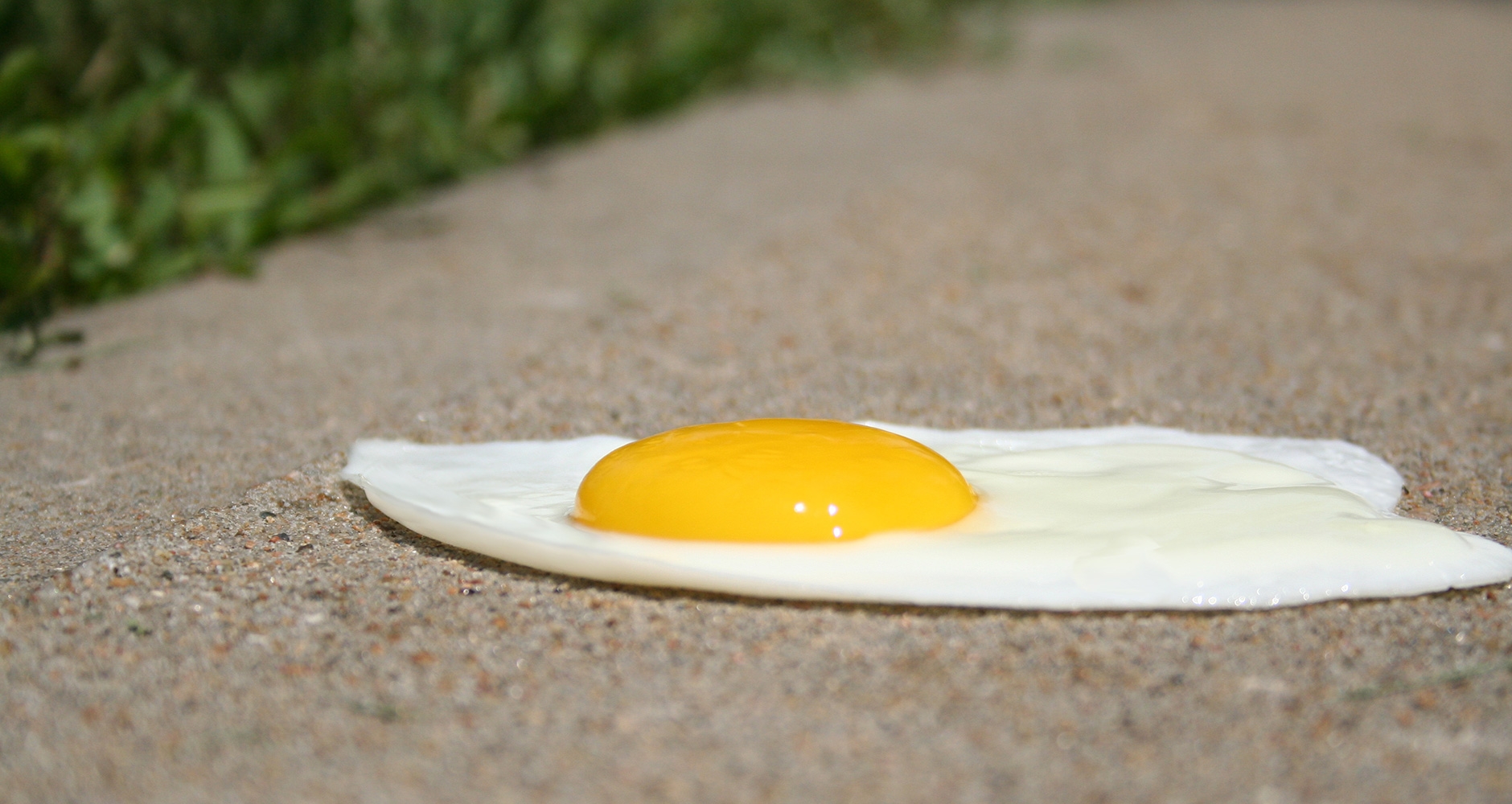 Sidewalk Egg Frying Day 2019