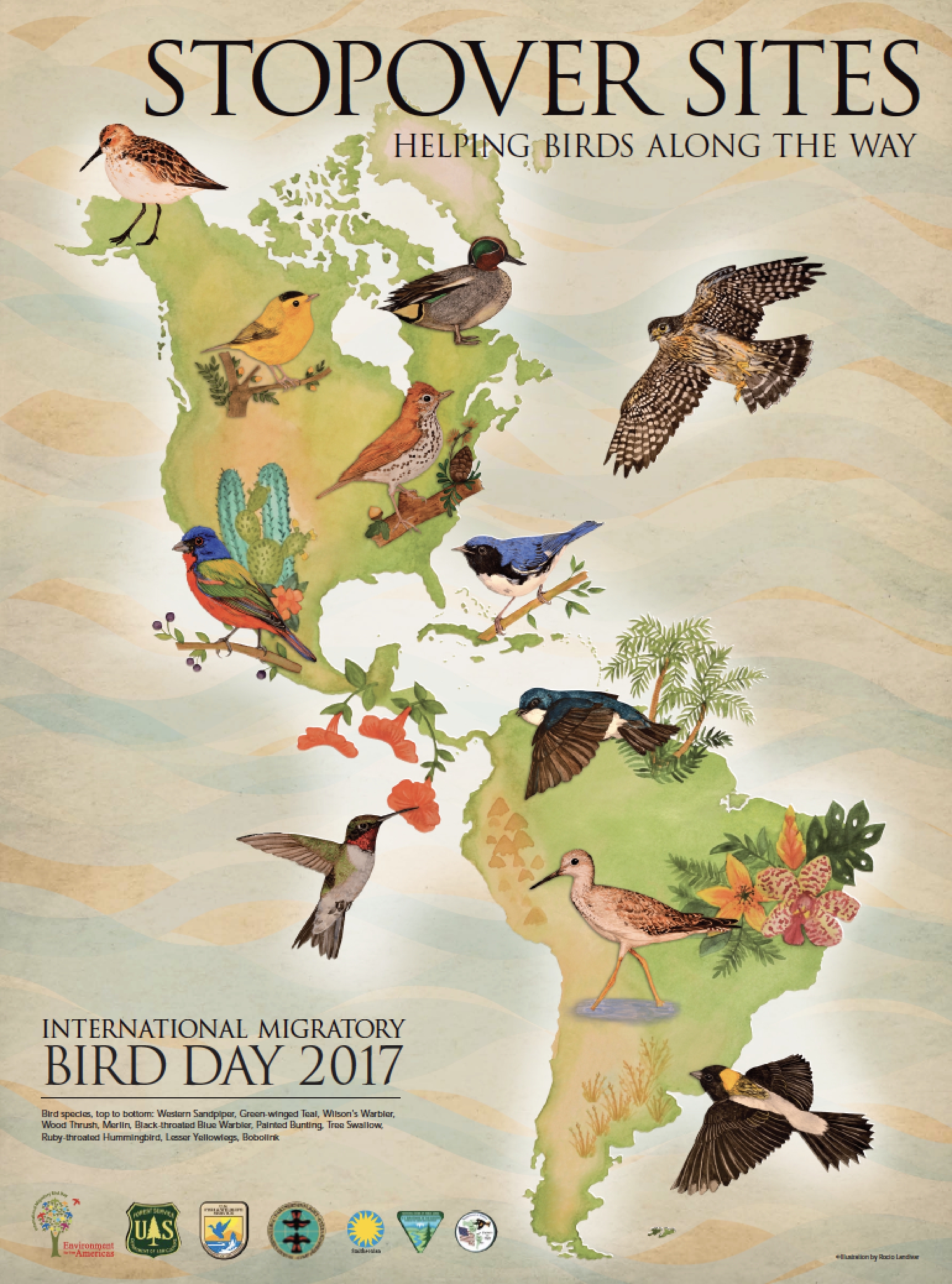 International Migratory Bird Day Partners In Flight