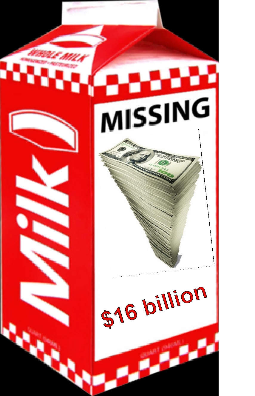 Missing On Milk Carton Template