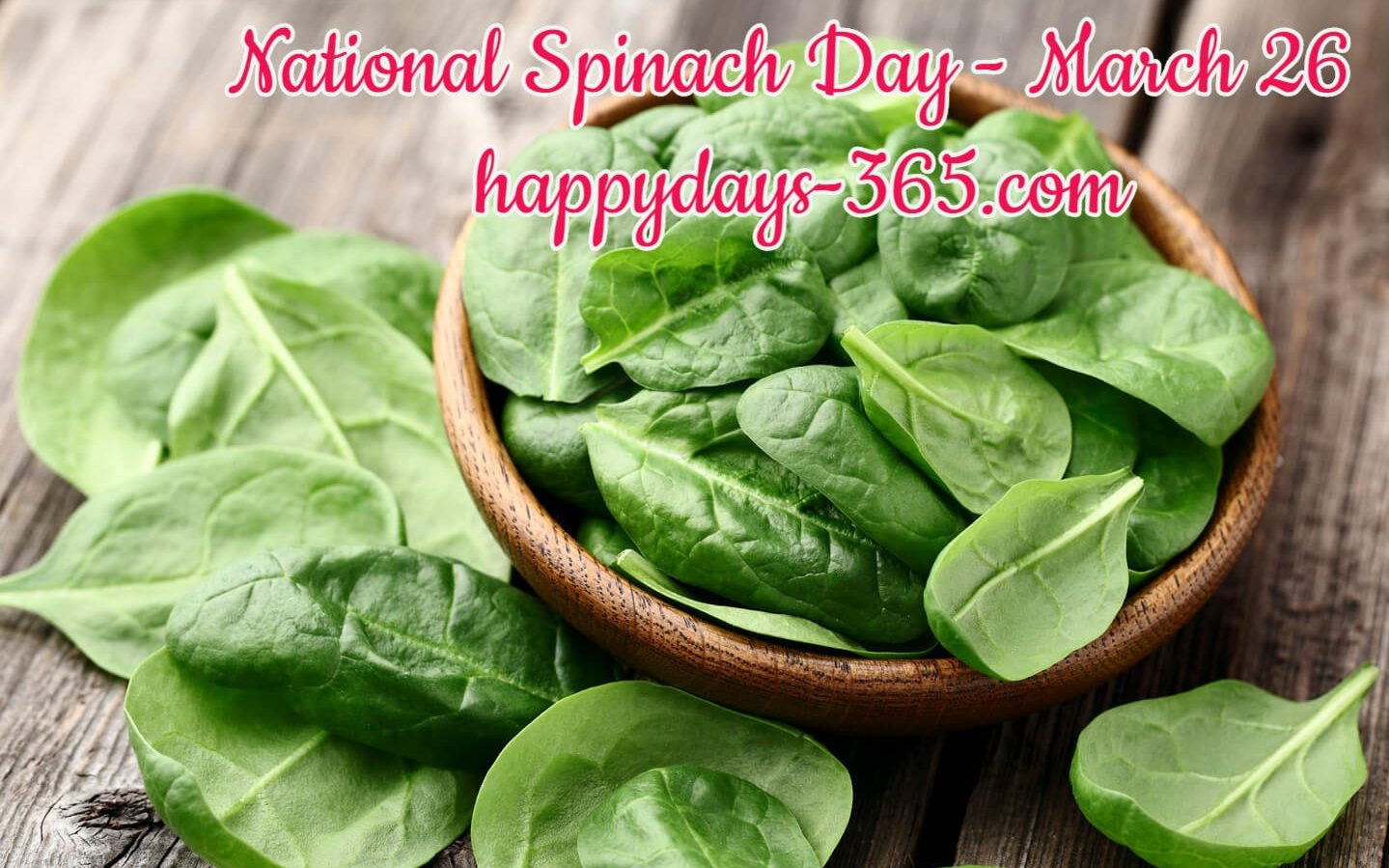 National Spinach Day March 26 2019 Happy Days 365