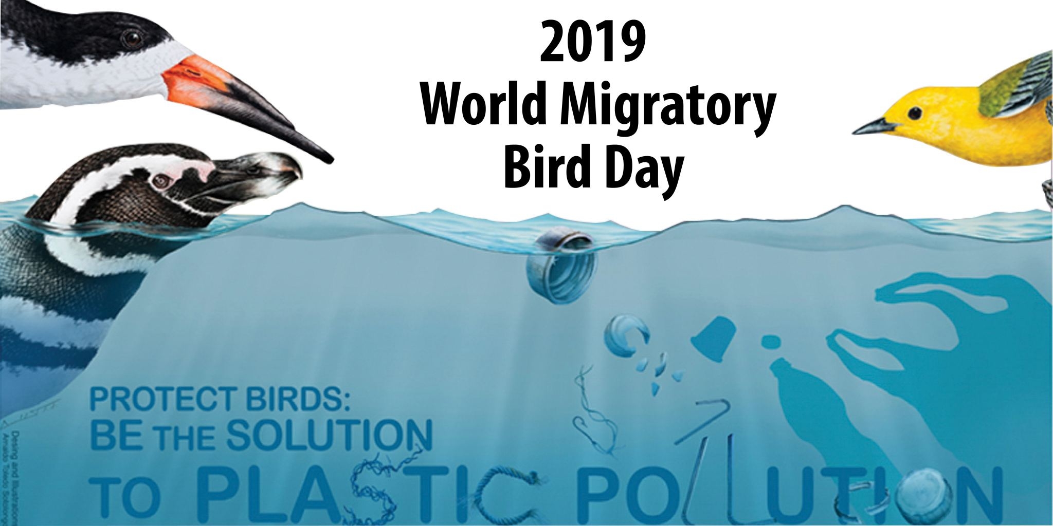 International Migratory Bird Day 2019