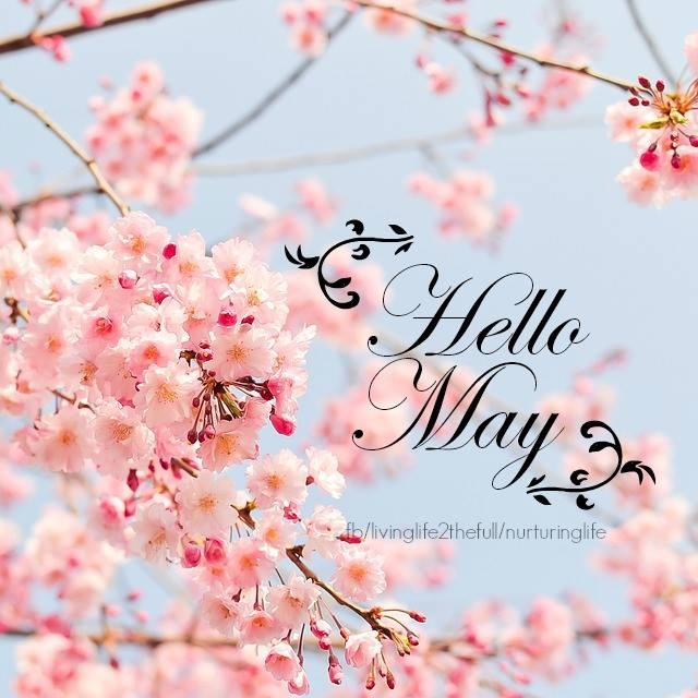 19 Images Tagged With Hello May Pictures Cafe