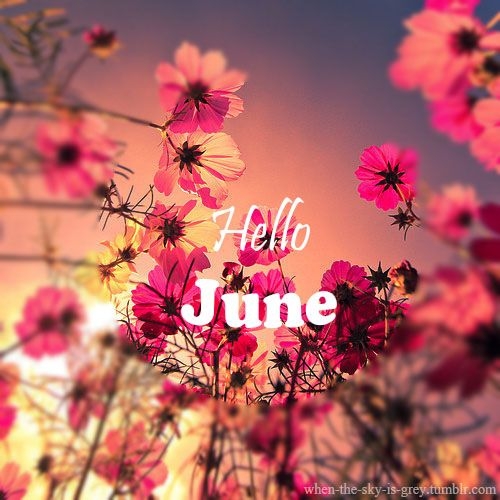 Hello June June Hello June Flowers Sunset June You Welcome