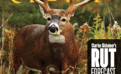 2020 Deer & Deer Hunting Calendars Available – Deer And Deer