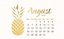 Amazing August 2018 Calendar Wallpaper Maxcalendars August