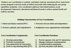 Care Coordination Plan Template