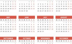 Calendar Template 2019 Royalty Free Vector Image