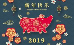 Chinese New Year 2019 National Awareness Days Events Calendar 2018