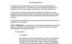 Download Amendment To Llc Operating Agreement Style 1 Template For