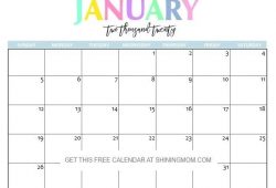 January Calendar 2020 Printable