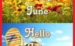 Goode June Hello July Summer Quote Pictures Photos And Images