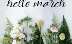 Hello March Quotes Tumblr