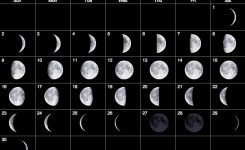 Hunting The Moon Phase – Does It Really Make A Difference? |