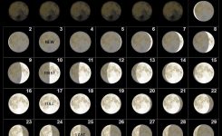 June 2019 Moon Phases Calendar 2019 Calendars Moon Phase