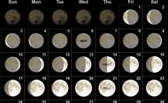 March 2019 Moon Phases Calendar Moon Phases June 2019 Calendar