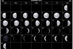 Moon Calendar June 2020