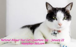 National Answer Your Cats Questions Day January 22 2019 Happy