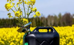 National Biodiesel Day March 18 2019 National Today