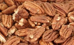 Pecan Day Days Of The Year