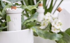 Porcelain Water Dispenser For Plants In 2019 Balcony On A Budget