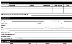 Resume Format Word Document Resume Format Job Application Form