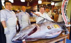 Tuna Sells For Record 3m At Tokyos New Fish Market