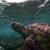 World Sea Turtle Day 2019